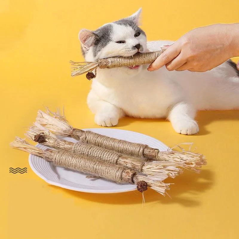 Brinquedo De Mordida Do Gato para Limpeza de Dentes - Bang Variedades