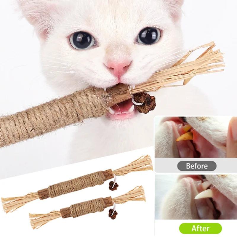 Brinquedo De Mordida Do Gato para Limpeza de Dentes - Bang Variedades
