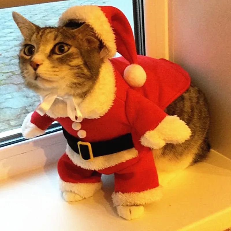 Fantasia de Natal para Gatos - Bang Variedades